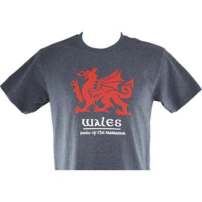 new south wales t shirt