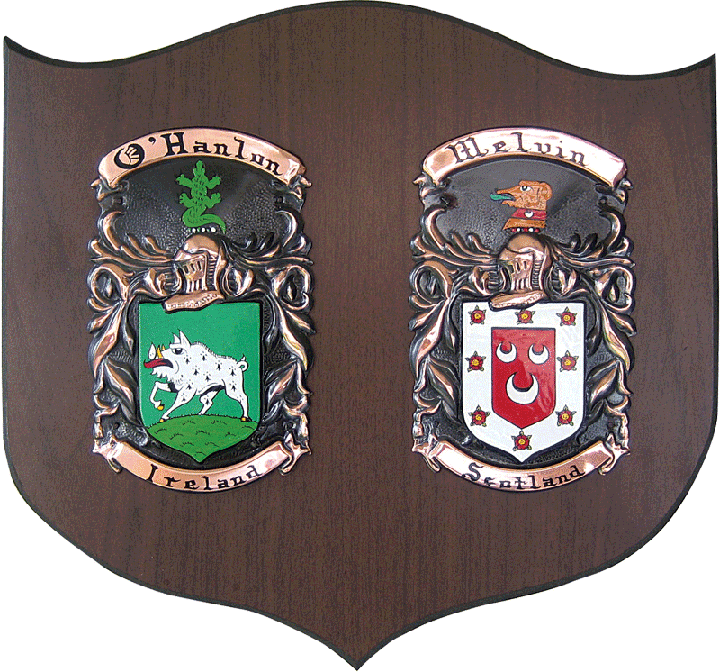 Personalized Double Irish Coat of Arms Cadet Shield Plaque at IrishShop ...